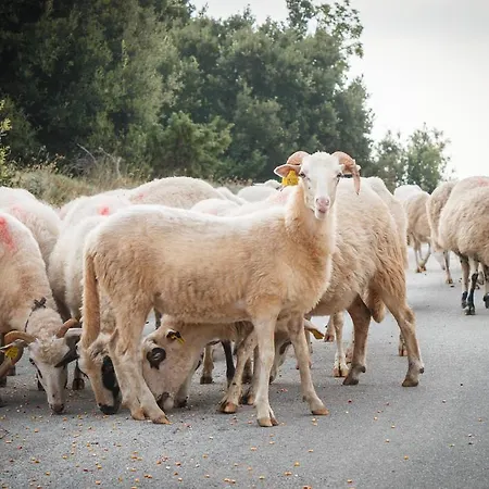Pensión & Konoba Tomic