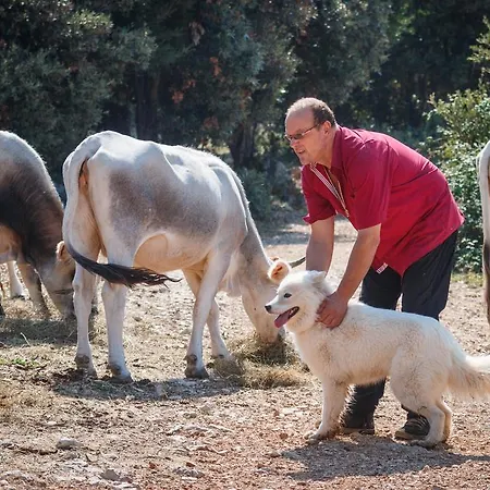 & Konoba Tomic Pensión